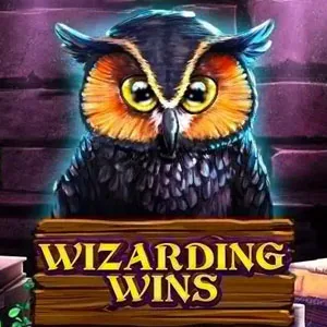 Wizarding Wins